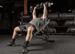 incline dumbbells on rogue bench