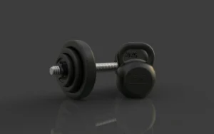 Bowflex Adjustable Dumbbells Review