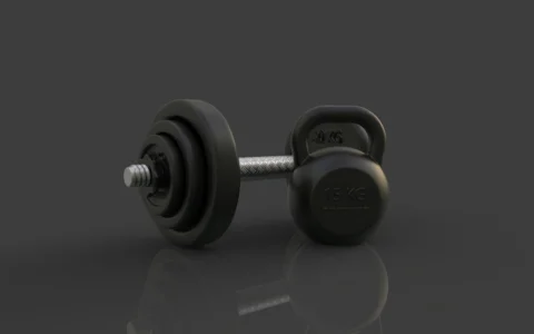 Bowflex Adjustable Dumbbells Review