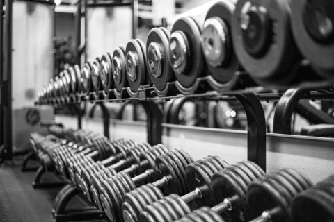 Bowflex SelectTech Dumbbell Stand Review