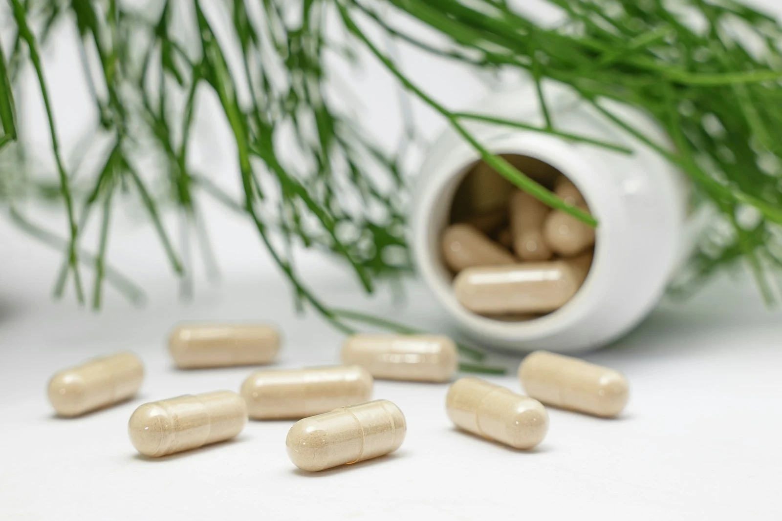 Beige supplement capsules spilled from a white bottle